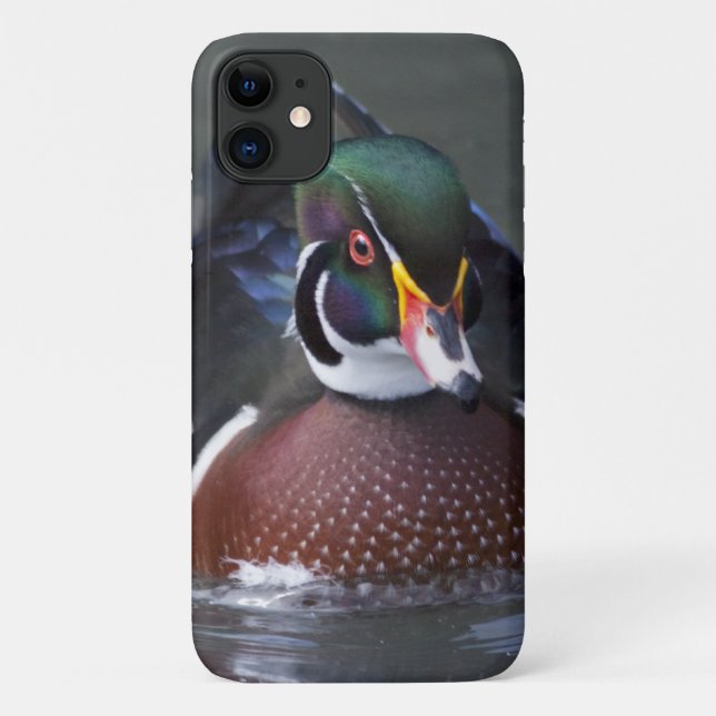 Capa Para iPhone 11 Capa de iPhone 11 do Pato-de-madeira Americano (Verso)