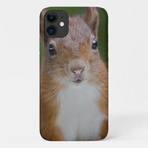 Capa Para iPhone 11 Capa de iPhone 11 Esquilo Sedento