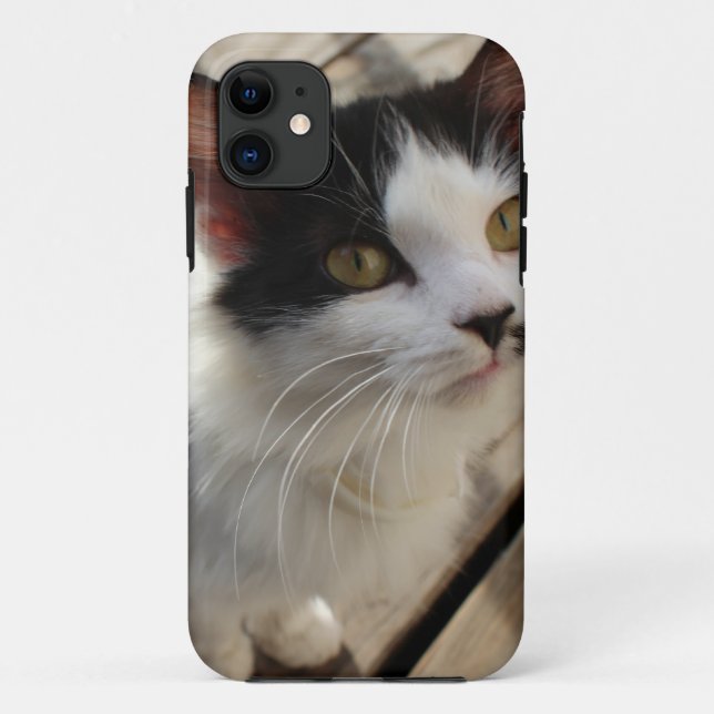 Capa Para iPhone 11 Capa de iphone de gatinho (Verso)