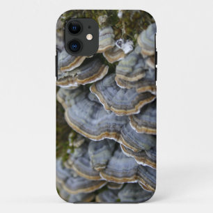 Capa Para iPhone 11 Capa de telefone de Cogumelos de árvore, iPhone SE