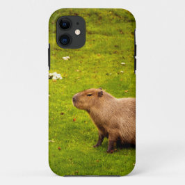 Capa Para iPhone 11 Capybara