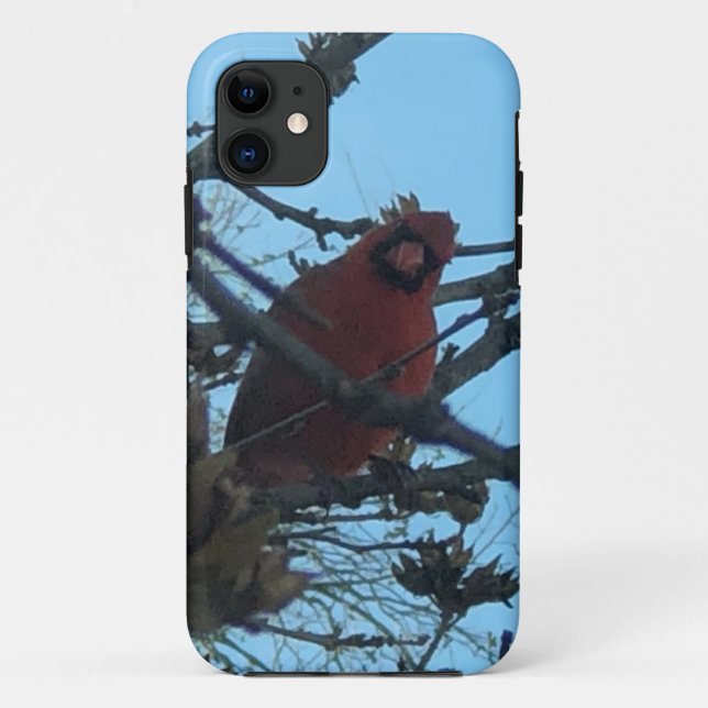 Capa Para iPhone 11 Cardinal  (Verso)