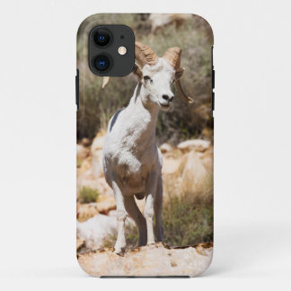 Capa Para iPhone 11 Carneiros brancos da família