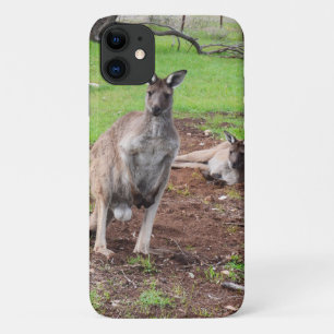 Capa Para iPhone 11 Casal de canguru australiano,