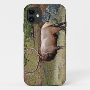 Capa Para iPhone 11 Case mate do iPhone 5 dos alces de Colorado mal l