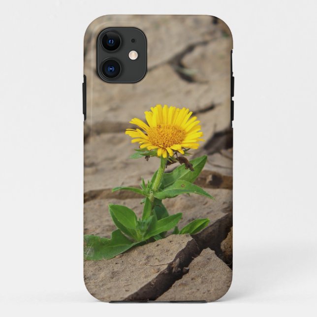 Capa Para iPhone 11 Case-Mate Tough Apple iPhone 11 Case (Verso)