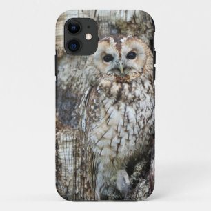 Capa Para iPhone 11 Case-Mate Tough Apple iPhone 11 Case