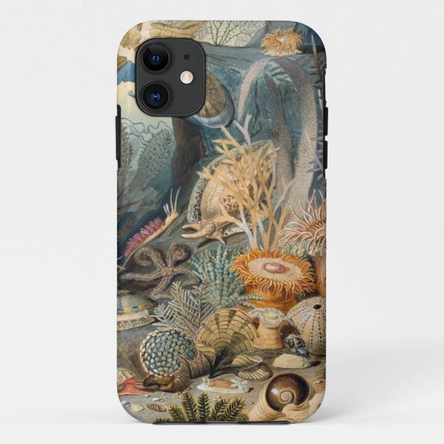 Capa Para iPhone 11 Case-Mate Tough Apple iPhone 11 Case (Verso)