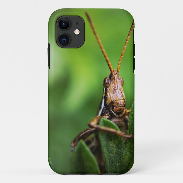 Capa Para iPhone 11 Case-Mate Tough Apple iPhone 11 Case (Verso)
