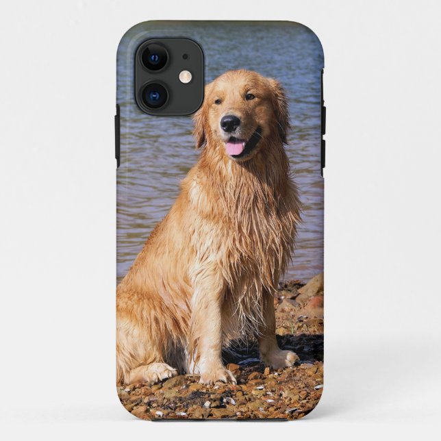 Capa Para iPhone 11 Caso de assento do iphone 5 do golden retriever (Verso)