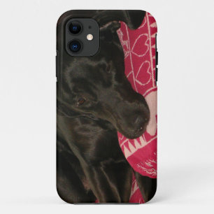 Capa Para iPhone 11 Caso do iPhone 5 Cães com Sono