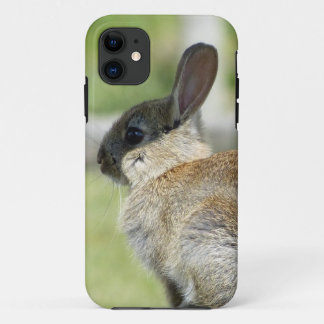 Capa Para iPhone 11 caso do iPhone 5 com coelho no perfil