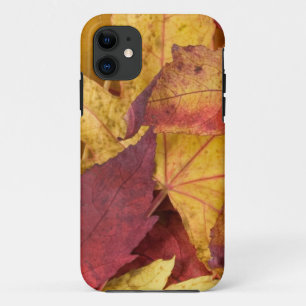 Capa Para iPhone 11 Caso iPhone5 de Folgas