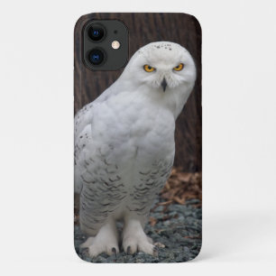 Capa Para iPhone 11 Caso iPhone 11 de Slippers Correspondentes