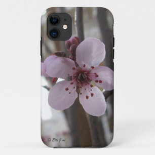 Capa Para iPhone 11 Caso iPhone 5 do Blossom primavera
