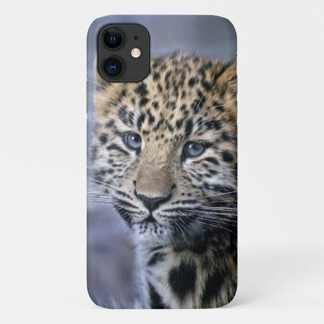 Capa Para iPhone 11 Caso Leopard Cub iPhone 11 (Verso)
