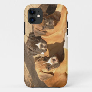 Capa Para iPhone 11 Caso universal do iPhone 5 dos filhotes de