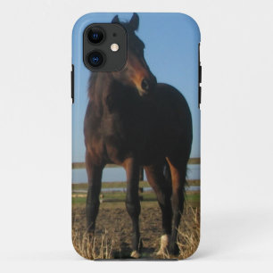 Capa Para iPhone 11 Cavalo de baía