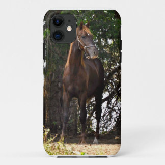 Capa Para iPhone 11 Cavalo de Morgan