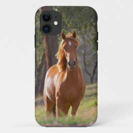 Capa Para iPhone 11 Cavalo nas madeiras