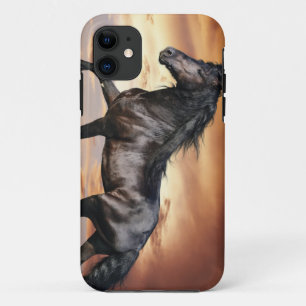 Capa Para iPhone 11 Cavalo Preto Lindo
