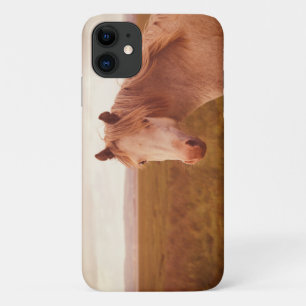 Capa Para iPhone 11 Cavalo selvagem vintage