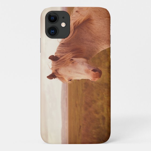 Capa Para iPhone 11 Cavalo selvagem vintage (Verso)