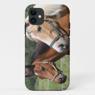 Capa Para iPhone 11 Cavalos