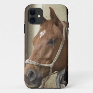 Capa Para iPhone 11 Cavalos árabes