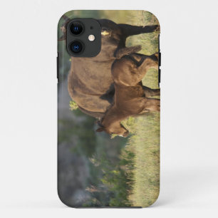 Capa Para iPhone 11 Cavalos Selvagens no Parque Nacional Theodore Roos