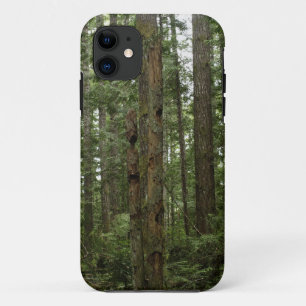 Capa Para iPhone 11 Cena Natureza da Floresta de Totem Verde