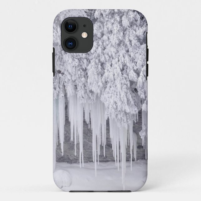 Capa Para iPhone 11 cenários-de-inverno-106 (Verso)