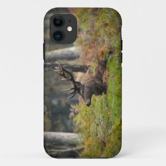 Capa Para iPhone 11 Cerf en forêt de fontainebleau