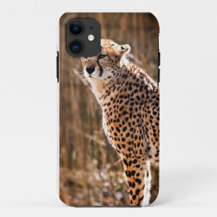 Capa Para iPhone 11 Cheetah