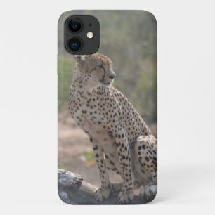 Capa Para iPhone 11 Cheetah