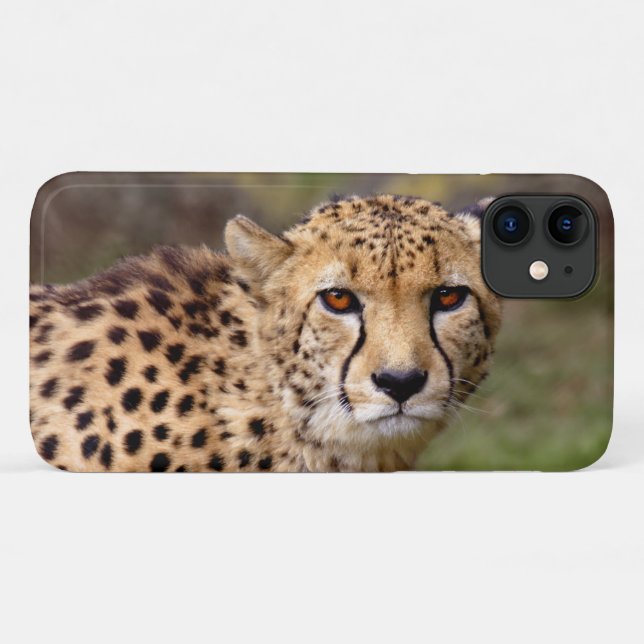 Capa para iPhone 11 Cheetah (Verso (horizontal))