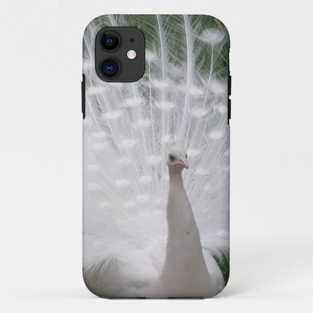 Capa Para iPhone 11 Cheio de Pavão branco (Peafowl) (Verso)