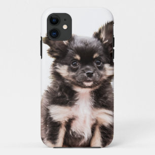 Capa Para iPhone 11 Chihuahua Puppy Dog