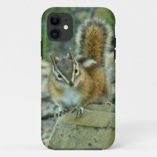 Capa Para iPhone 11 Chipmunk no Parque Nacional Glacier I