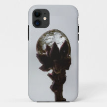 Chuva congelada na fotografia de galho de árvores