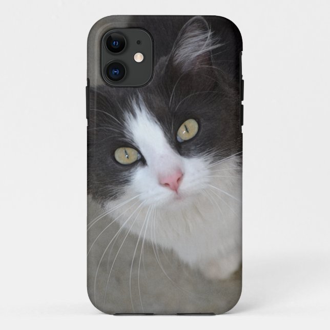 Capa Para iPhone 11 cinza bonito e gato branco (Verso)