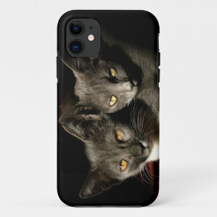 Capa Para iPhone 11 Cinza Cats Photo iPhone SE + iPhone 5/5S Case