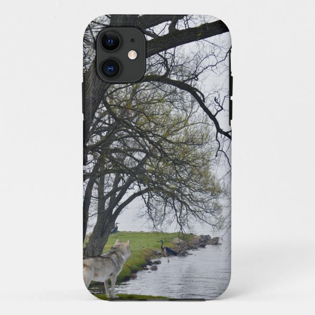 Capa Para iPhone 11 Cinza Wolf & Herons por Lake Wildlife iPhone 5 Cas (Verso)