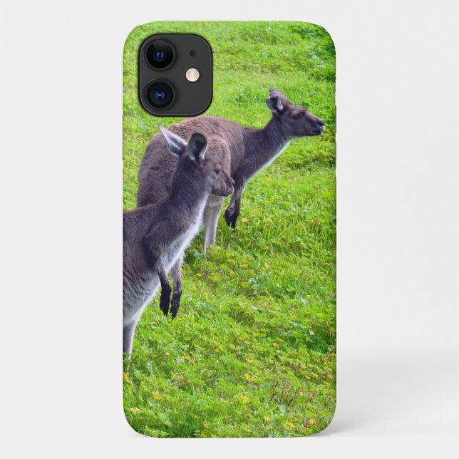 Capa Para iPhone 11 Cinzas selvagens australianas Kangaroos, (Verso)
