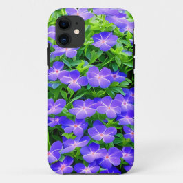 Capa Para iPhone 11 Clematis de Drummond - uma florzinha azul