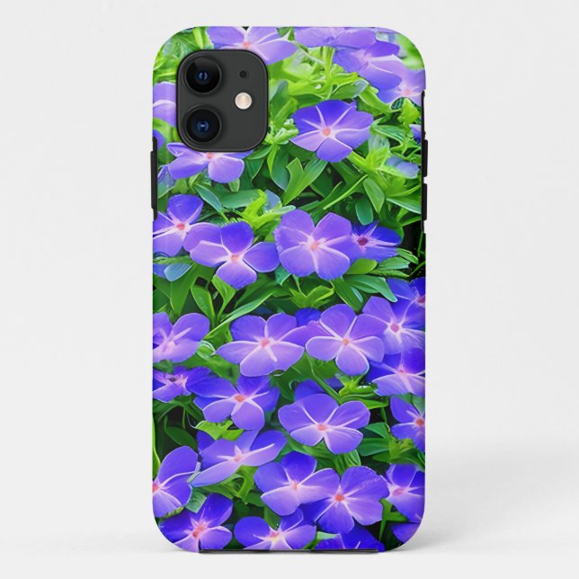 Capa Para iPhone 11 Clematis de Drummond - uma florzinha azul (Verso)