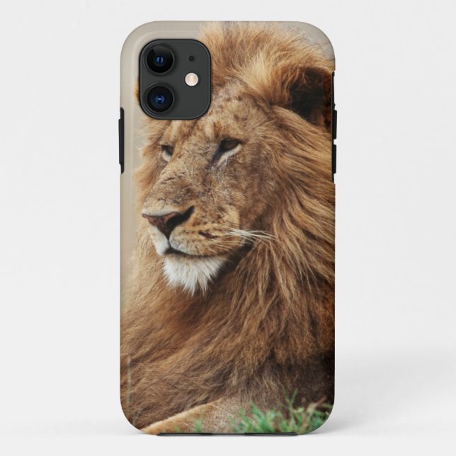 Capa Para iPhone 11 Close-up de leão macho (Verso)