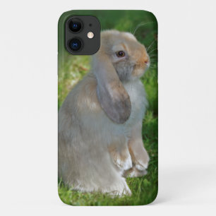 Capa para iPhone 11 Coelho Baby Minilop