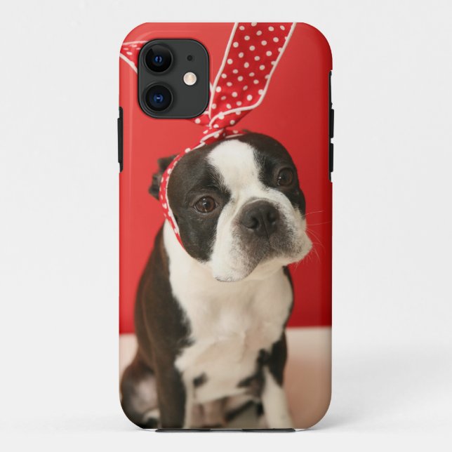 Capa Para iPhone 11 Cologalita Ⅰ (Verso)