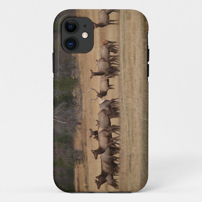 Capa Para iPhone 11 Colorado Elk iPhone 5 (Verso)